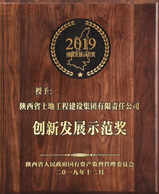 2019年創(chuàng)新發(fā)展示范獎(jiǎng) .jpg